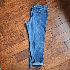 LOFT Boyfriend Blue Ankle Jeans Women's 10